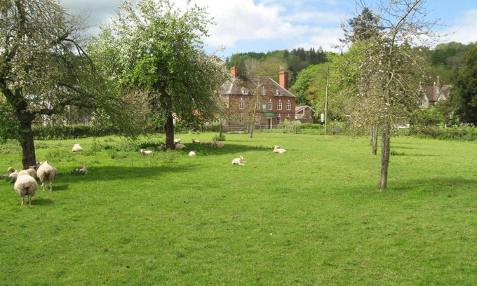 Bredwardine Hotel | The Red Lion Hotel