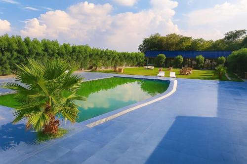 Mat Resort | The Rules Club