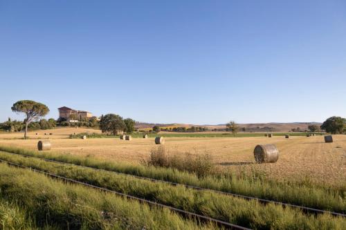 Monteroni d'Arbia Apartment | The Runner House