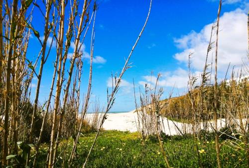 Obidos Apartment | The Sea Breeze Haven in Praia d'el Rey