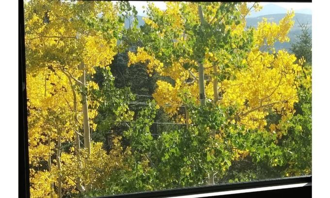 Black Hawk Ski Chalet | The Treetop Lodge at Black Hawk - MOUNTAINS! Everywhere You Look!
