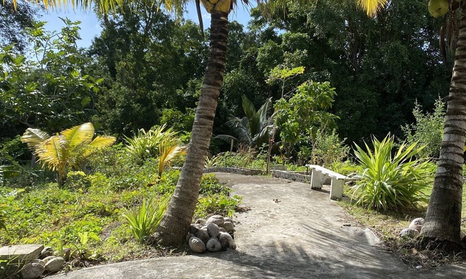 Sainte-Anne House | The tropical garden