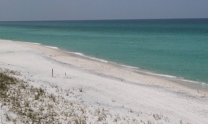 Santa Rosa Beach House | The Ultimate 30A Getaway - Beach, Shops, Amenities, Pet Friendly & More