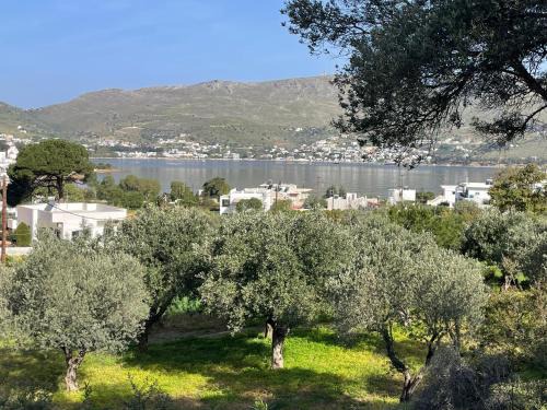 Leros Villa | The Velanidies - Οι Βελανιδιές