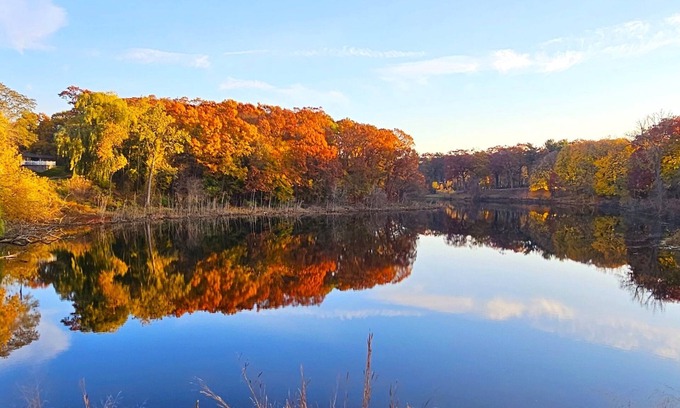 Lakeside Apartment | The Vineyard - Tiny House - Tiny Digs Lakeshore