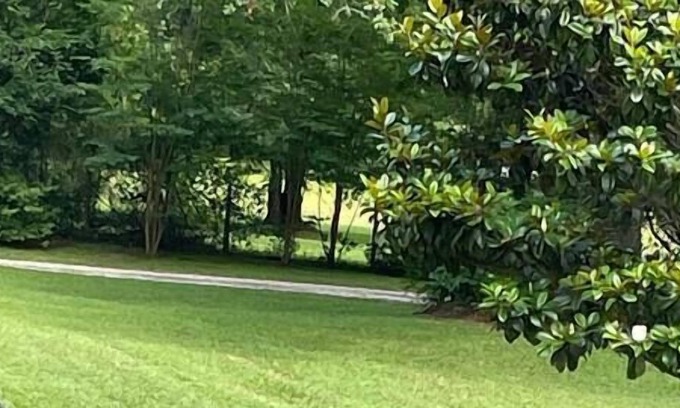 Tallahassee Cottage | This country house is a 1 bedroom(s), 1 bathrooms, located in tallahassee, FL.