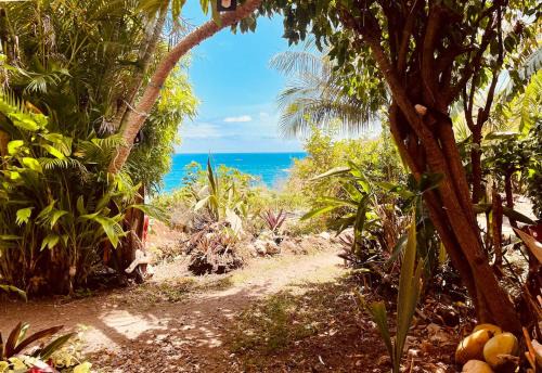 Terre-de-Bas House | Ti Kaz Kozi, Kaz confortable, vue mer et accès direct à la plage de la Baie des Tortues