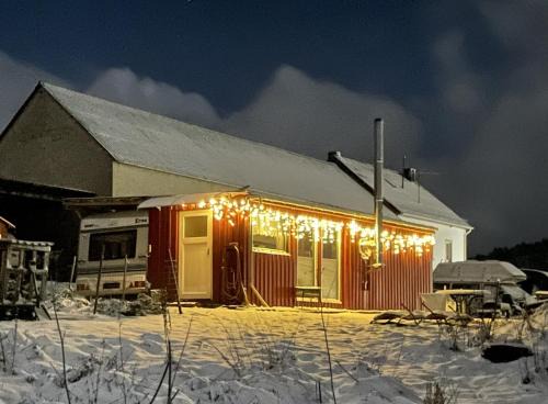 Oberbettingen House | Tiny House Anneliese Hunde okay