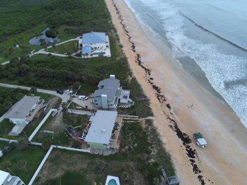 Palm Coast House | Tipsy Turtle Direct Oceanfront