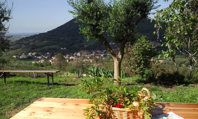 Cornoleda Apartment | To Venice by train and the autumn colors of the Euganean Hills