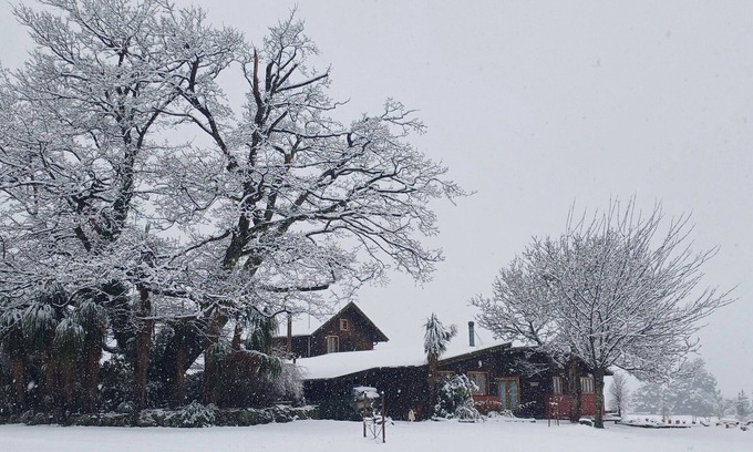 Springfield House | Torokiki bach - a place to rejuvenate