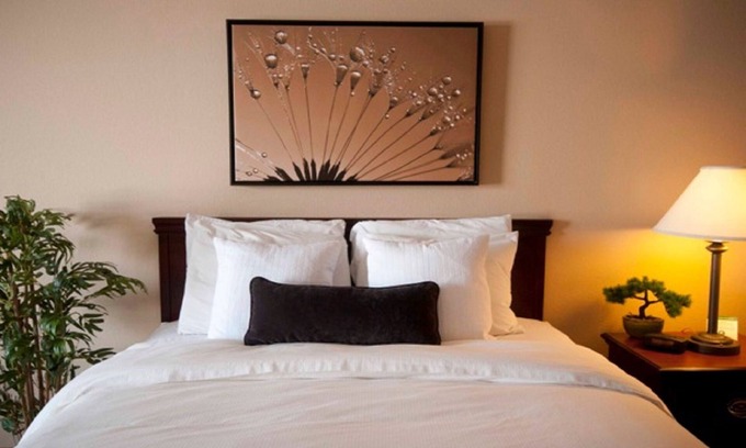 Quincy Hotel | Town & Country Inn and Suites