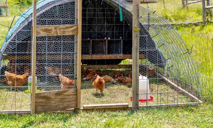 Lookout Valley Neighborhood Association RV Rental | Tranquil Farm Yurt - Mountain View