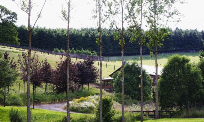 Fauvillers House | Traquebois