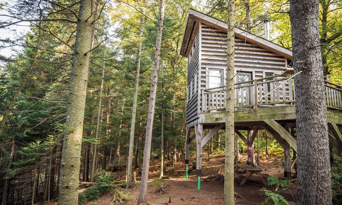 Saint-Faustin-Lac-Carre House | Treehouse #05 | The Bee