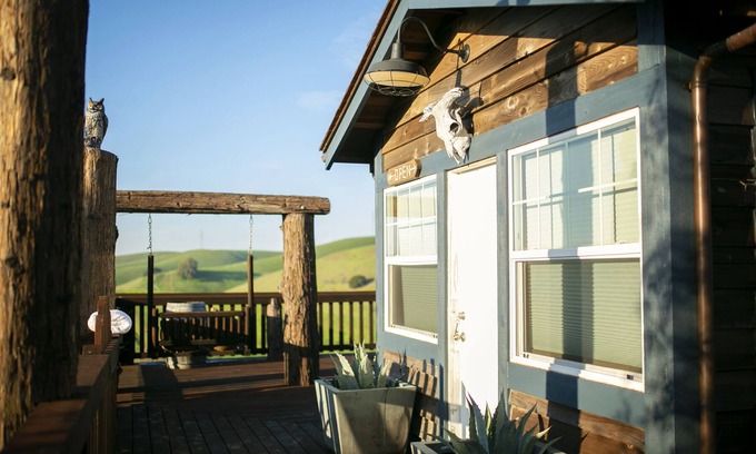 Martinez House | TREEmendous Potting Shed