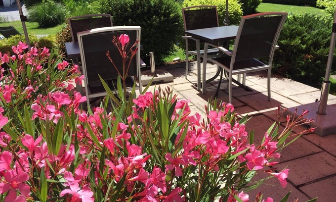 Schuttdorf Cottage | Triple room with shower or bath Bathroom, toilet - Lindenthaler, guesthouse