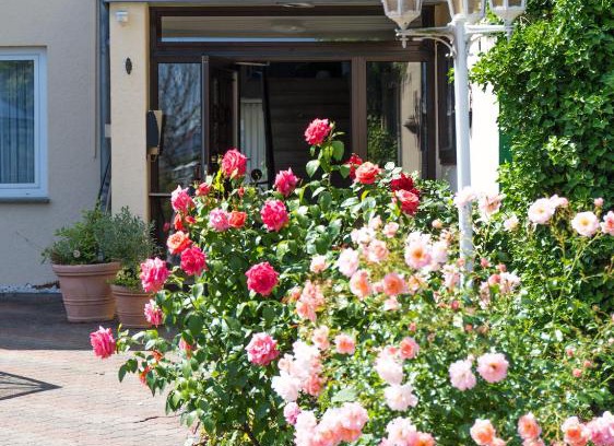 Bad Oeynhausen Hotel | Trollinger Hof