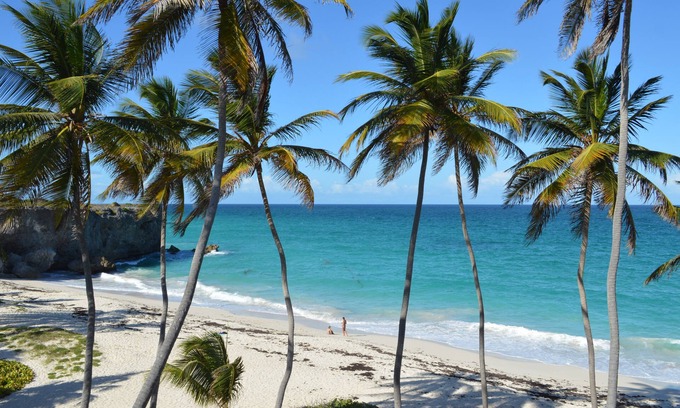 Silver Sands Hotel | Tropical Gecko Studio