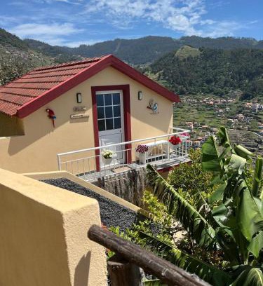 Campanario House | Tropical House