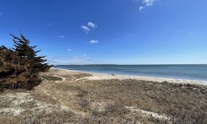 Hyannis Cottage | Twin Cape Cottages 🏡 Walk to Beach/Town/Ferries, Yard, Outdoor Shower!