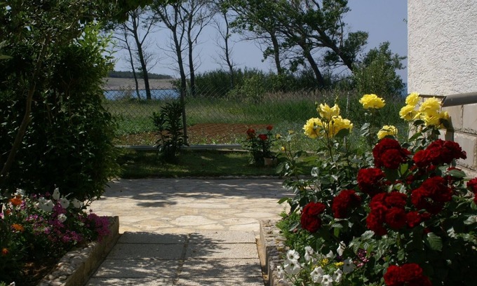 Povljana Apartment | Two bedroom apartment with terrace and sea view Povljana, Pag (A-230-a)
