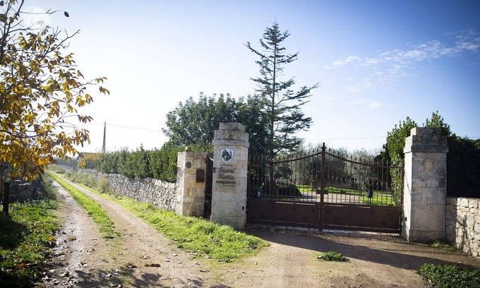 Turi Bed & Breakfast | Typical Apulian Property with Swimming Pool