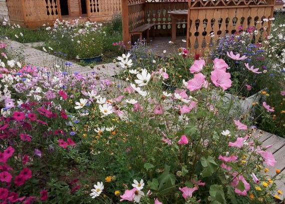 Khuzhir House | U Iriny Guesthouse