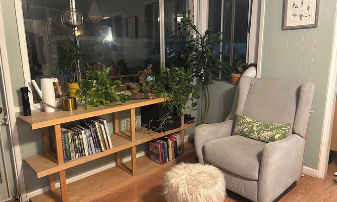 Broadway - Palmhaven House | Unique Willow Glen Hideaway, Walk to Shops & Restaurants, Family & Pet-Friendly