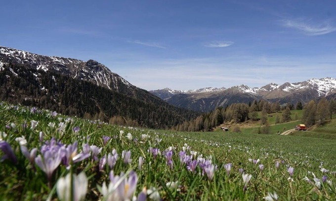 Valle di Casies House | Unterhabererhof Comfortable holiday residence
