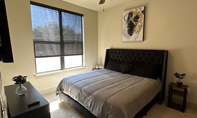 Astrodome Apartment | Upscale luxury apartments units near Nrg Stadium Medical center Downtown Museum.