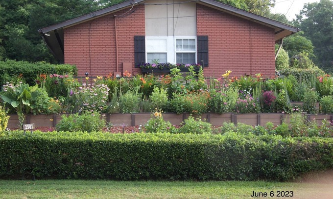Durham House | Urban garden home near Duke/Downtown/Museums