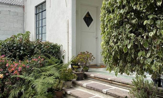 Miguel Hidalgo House | Urban oasis with office in Mexico's best district