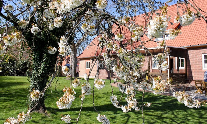 Suderburg Apartment | Vacation apartment/apartment for 8 guests with 140m² in Suderburg (267160)