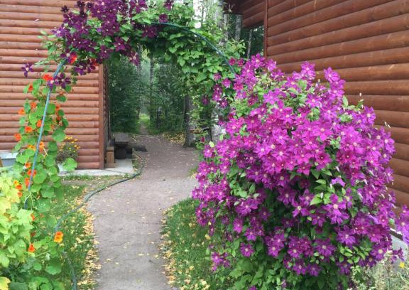 Gostilitsy House | Vacation home Banka u Ivana