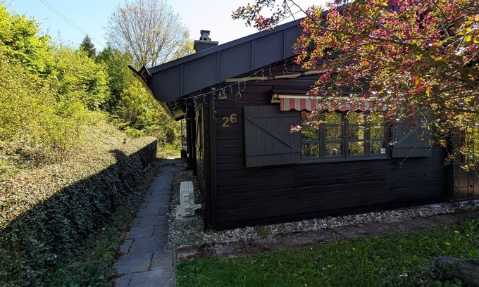 Bomighausen House | Vacation home for 4 guests with 70m² in Willingen (Upland) (270569)
