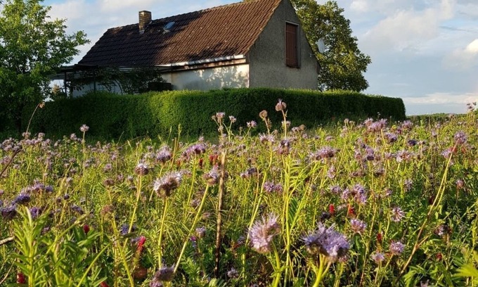 Oberhavel House | Vacation home for 2 guests with 45m² in Gransee (128356)