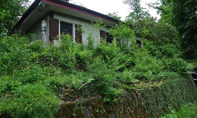 Herbstein House | Vacation home for 4 guests with 75m² in Herbstein (165931)