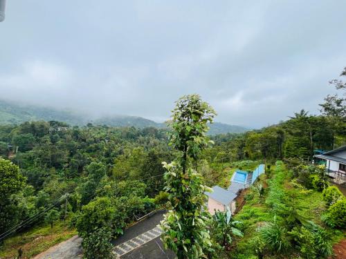 Elappara House | Vagamon Hillvalley Pool Resort