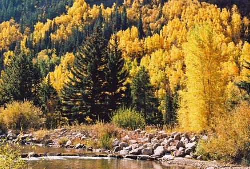Vail Resort | Vail Racquet Club Mountain Resort