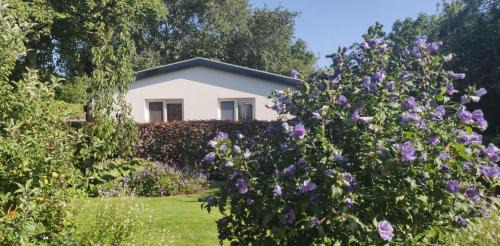 De Cocksdorp House | Vakantiebungalow Texel