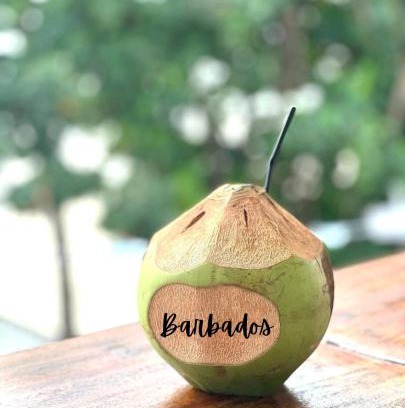 West Coast Apartment | Valley View