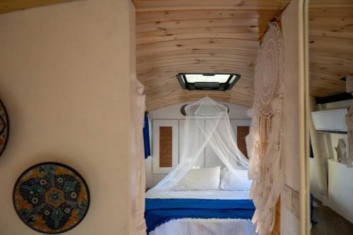 Goito Other | VamosBus