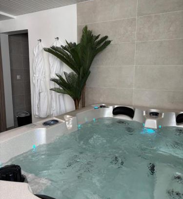 Sainte-Marie Apartment | VENUS LOCATION - Loft climatisé avec Spa