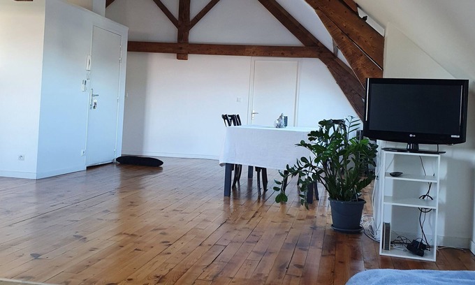 Brive-la-Gaillarde Apartment | Very spacious apartment