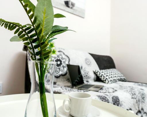 Omsk Apartment | VGOSTI OMSK Стандарт 3комнатный