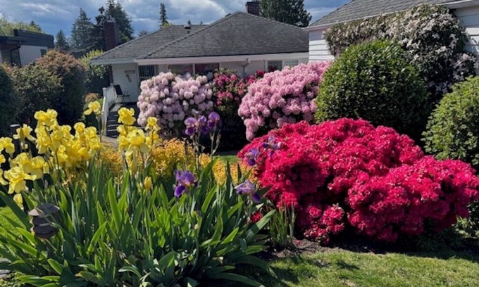 Endolyne House | View Home - West Seattle, 31 day min., Puget Sound, Parks & Bus/Ferry Close By