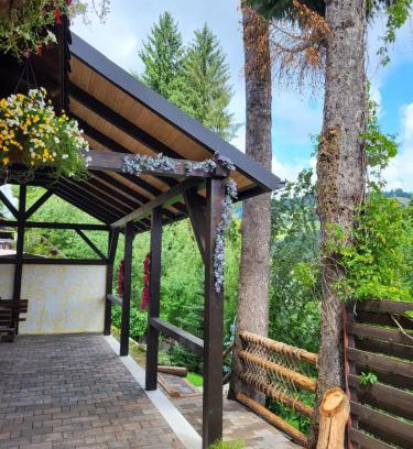 Vatra Dornei House | vila Dariana