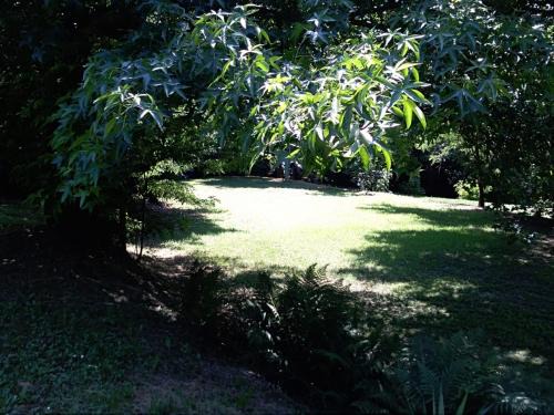 Vigano Bed & Breakfast | Villa Amabel