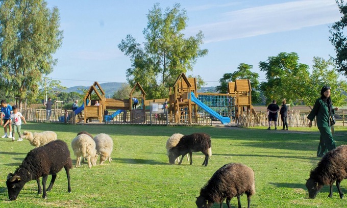 Le Pouget Other | Villa avec piscine, accès ferme, jeux d'enfants, animaux